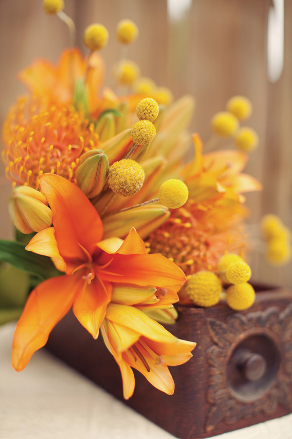 Munaluchi Floral Shoot