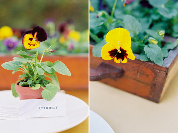 ameliajohnsonphotography022