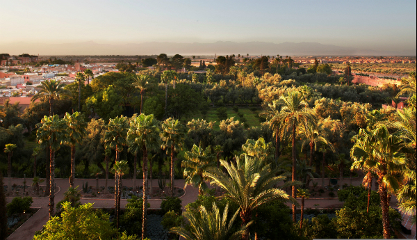 la-mamounia-park-view