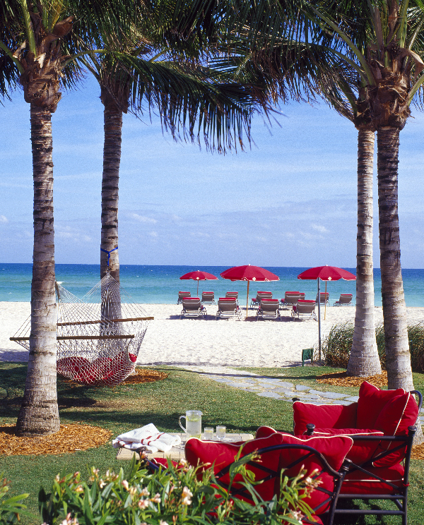 hammocks-on-the-beach