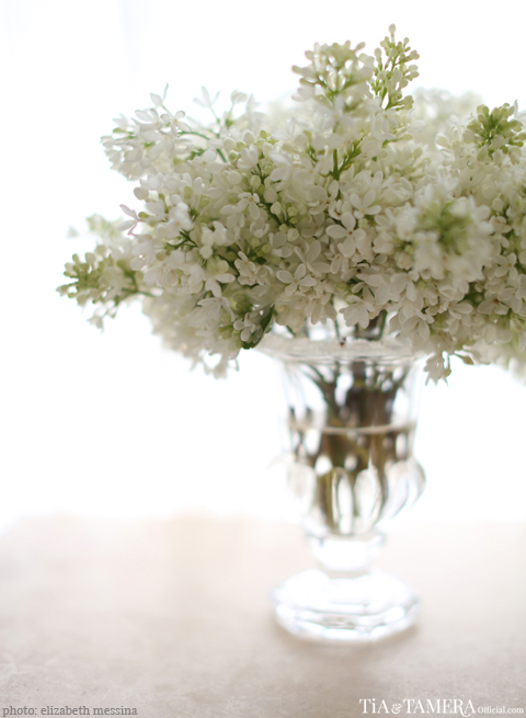tiavowrenewals_elizabethmessina004