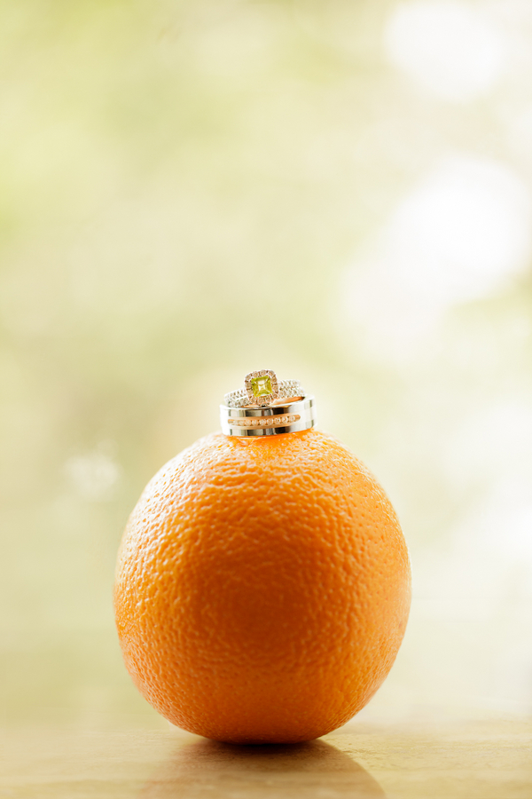 Florida-Wedding-Tai-Gavin-ArtPhotoSoul001