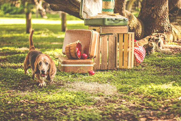 vintage+engagement+session+ricky+serrano+photography009