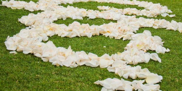 Image 201