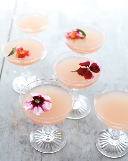 Cocktail2