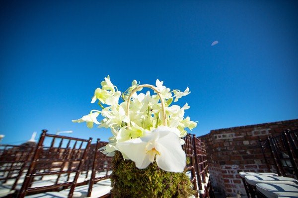 Dwayne Watkins Photography - TeamDWP