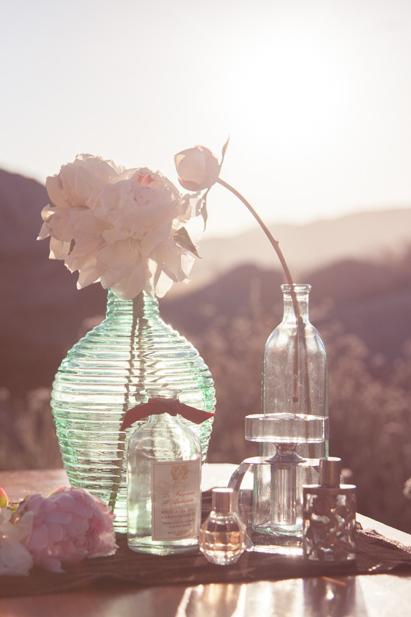 Adamo-Imagery-59