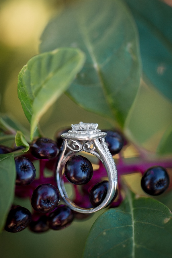 angelique-marcus-amy-hutchinson-memphis-engagement-session0107