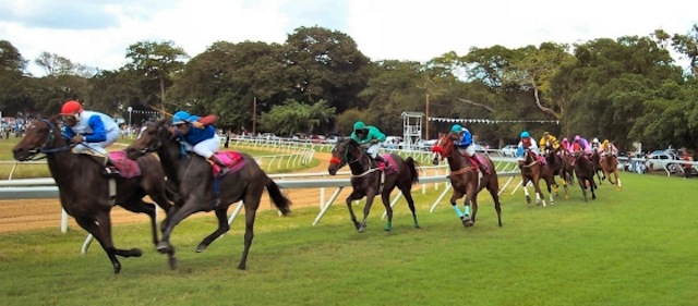 barbadoshorseraces