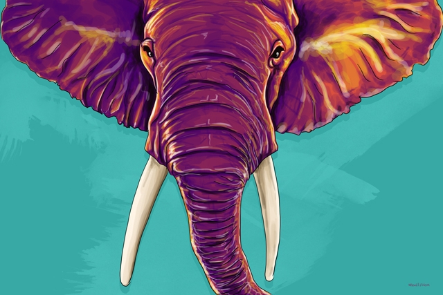 elephant-in-the-room-3__71823.1407356616.1280.1280