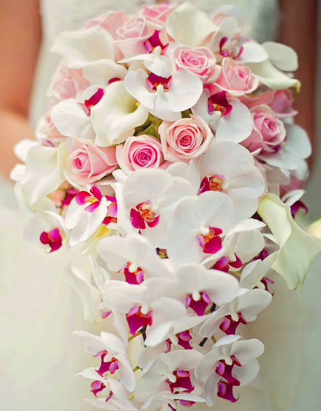 Vasia-Weddings