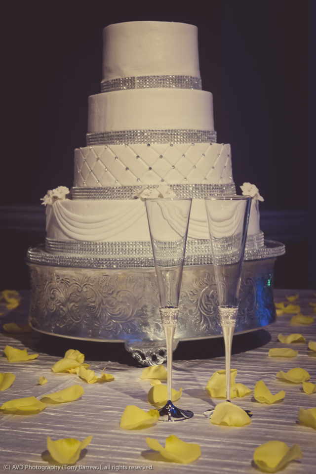 Artistic Vision & Design, Inc