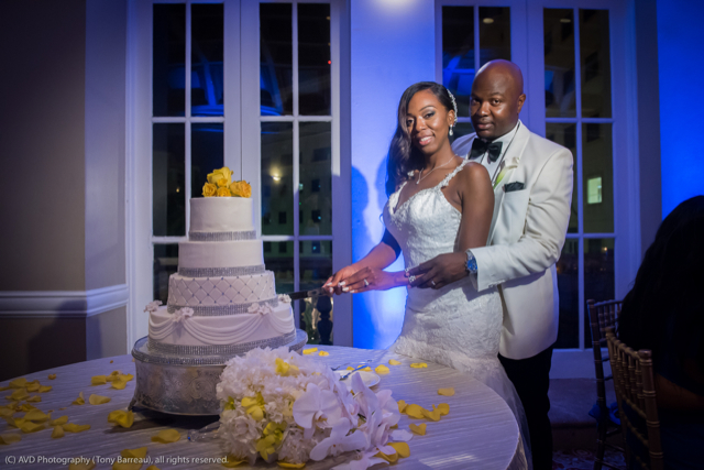 Artistic Vision & Design, Inc