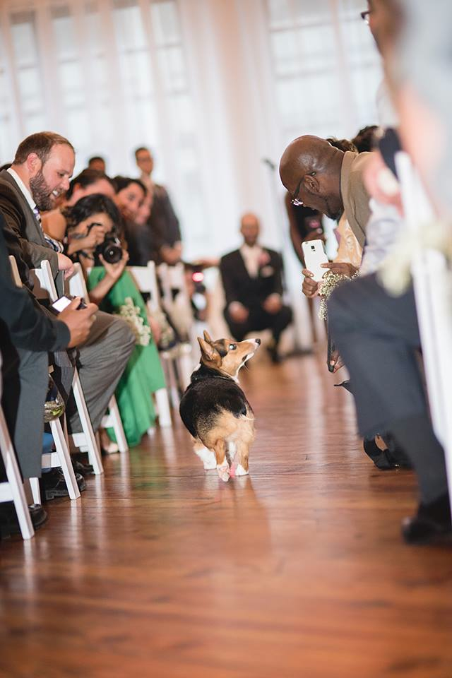 literary-philadelphia-wedding-clever-girl-photography-kristina-eric-26