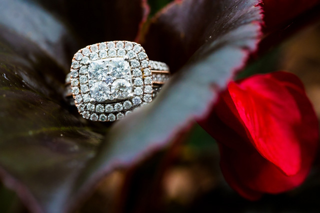 Adrianna-Marcus-Andre-Brown-Photography823
