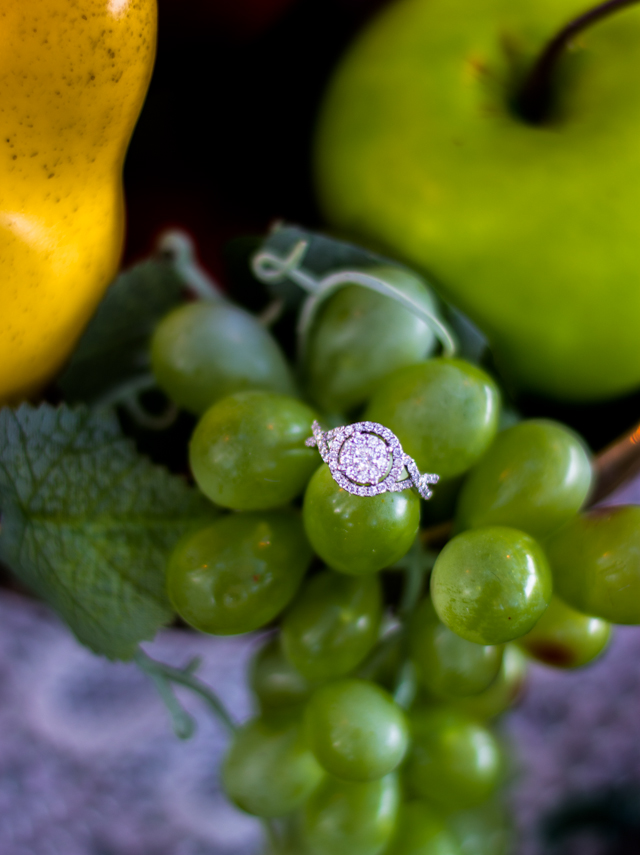 Zandra-Wise-Engagement-Session-Denise-Benson-Photography425