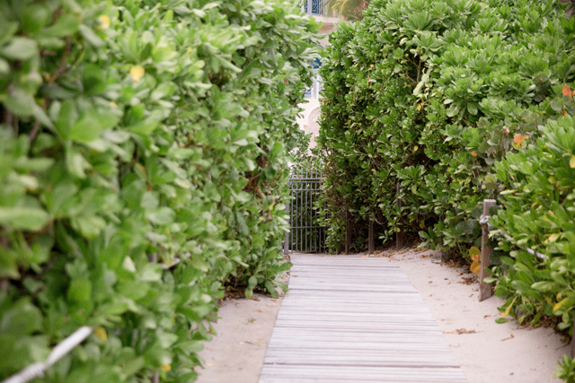 Miami-Destination-wedding-roxanne-bellamy-events-bath-club412