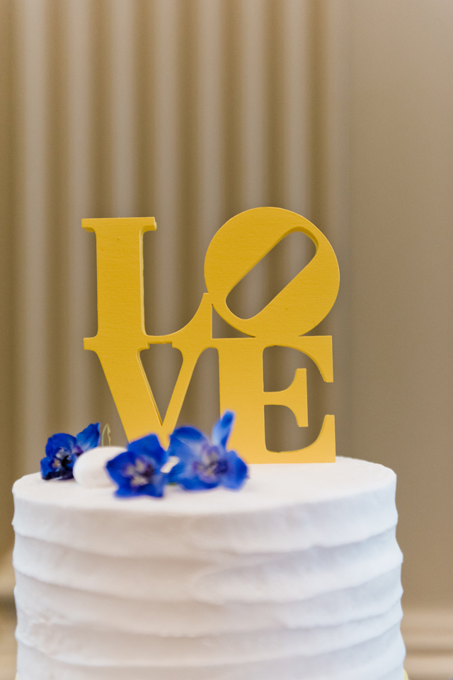 blue-yellow-philadelphia-wedding-veronica-david-terri-baskin-photography239