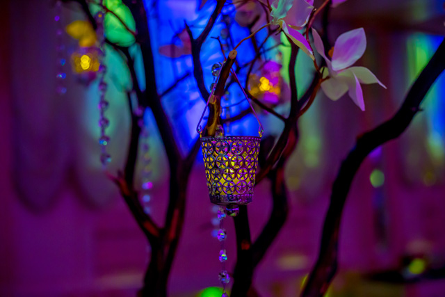 sasha-donald-spiritual-pink-and-purple-wedding-Quintessence-photography438