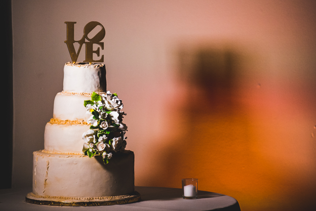 tejuana-dale-jr-photography-rustic-romance-wedding473