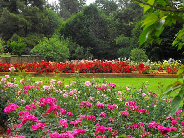 johannesburg_botanical_gardens