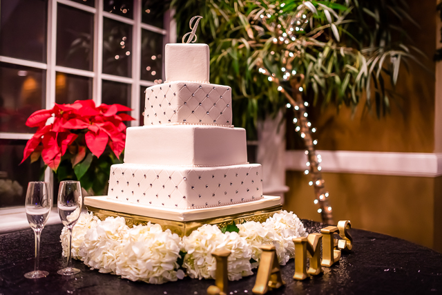 Hayely-&-Stephen-Wedding-2016-12-17---13608