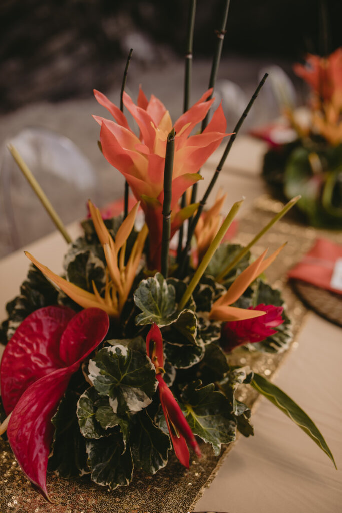 Birds of Paradise_styled_shoot_carly romeo photography_munaluchi_multicultural_brides of color_munaluchi bride34