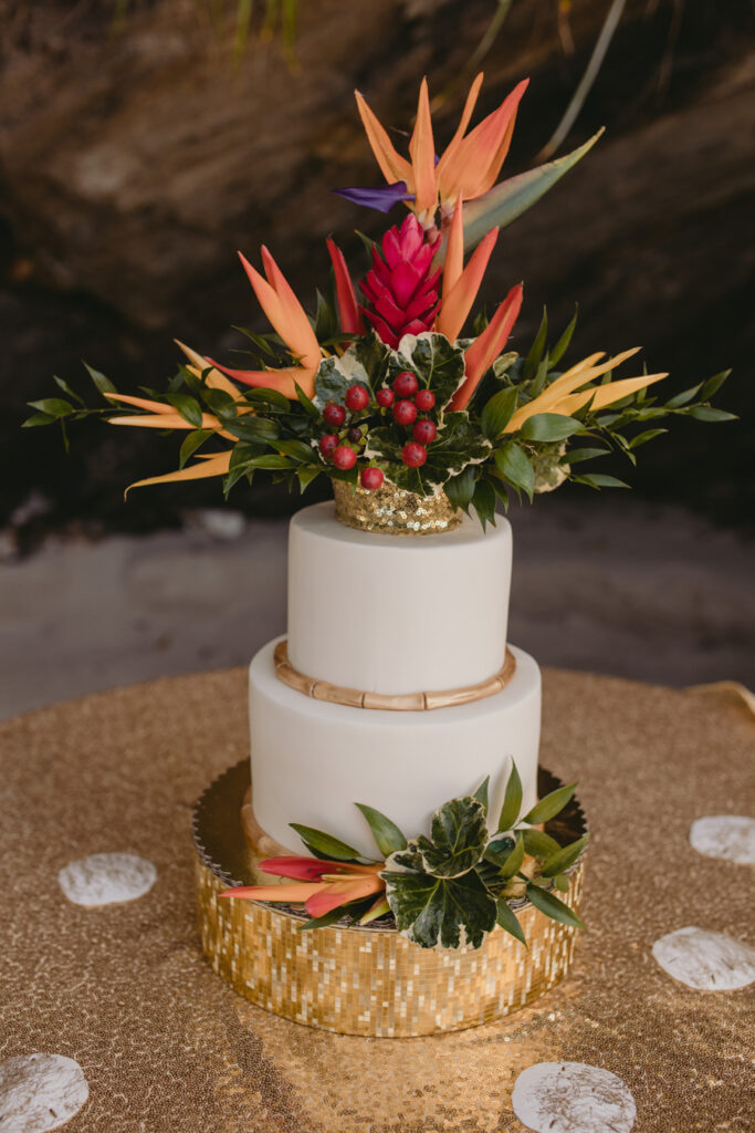 Birds of Paradise_styled_shoot_carly romeo photography_munaluchi_multicultural_brides of color_munaluchi bride38