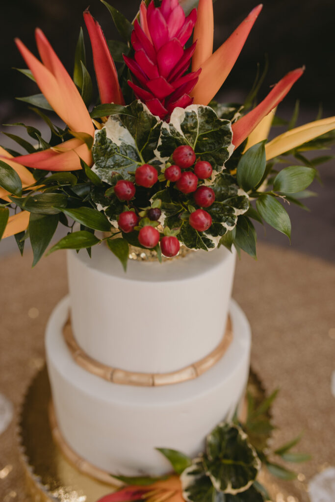 Birds of Paradise_styled_shoot_carly romeo photography_munaluchi_multicultural_brides of color_munaluchi bride42