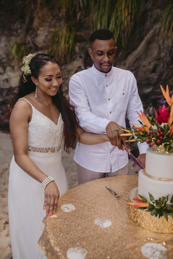 Birds of Paradise_styled_shoot_carly romeo photography_munaluchi_multicultural_brides of color_munaluchi bride63