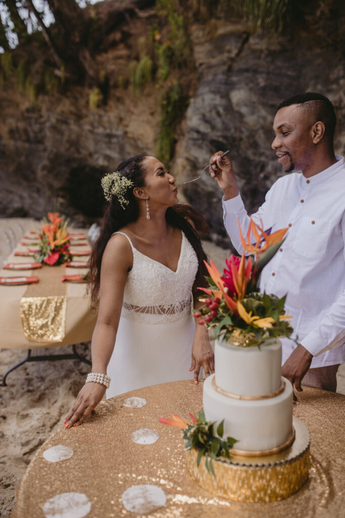 Birds of Paradise_styled_shoot_carly romeo photography_munaluchi_multicultural_brides of color_munaluchi bride68