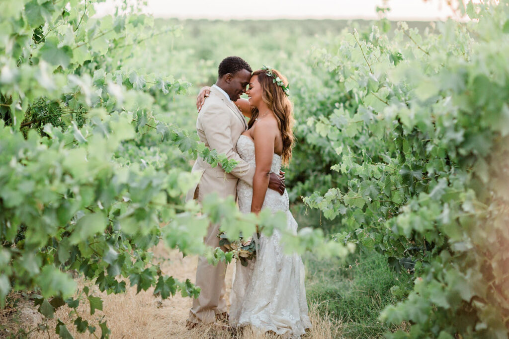 Bride and groom embrace as the sun sets in Vineyard after rustic wedding.