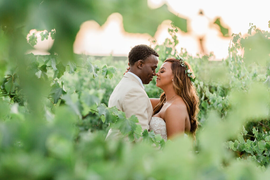 Newlyweds look lovingly at one another in California Vineyard country wedding.