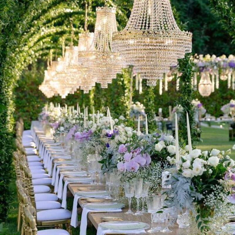 White and Lilac Theme