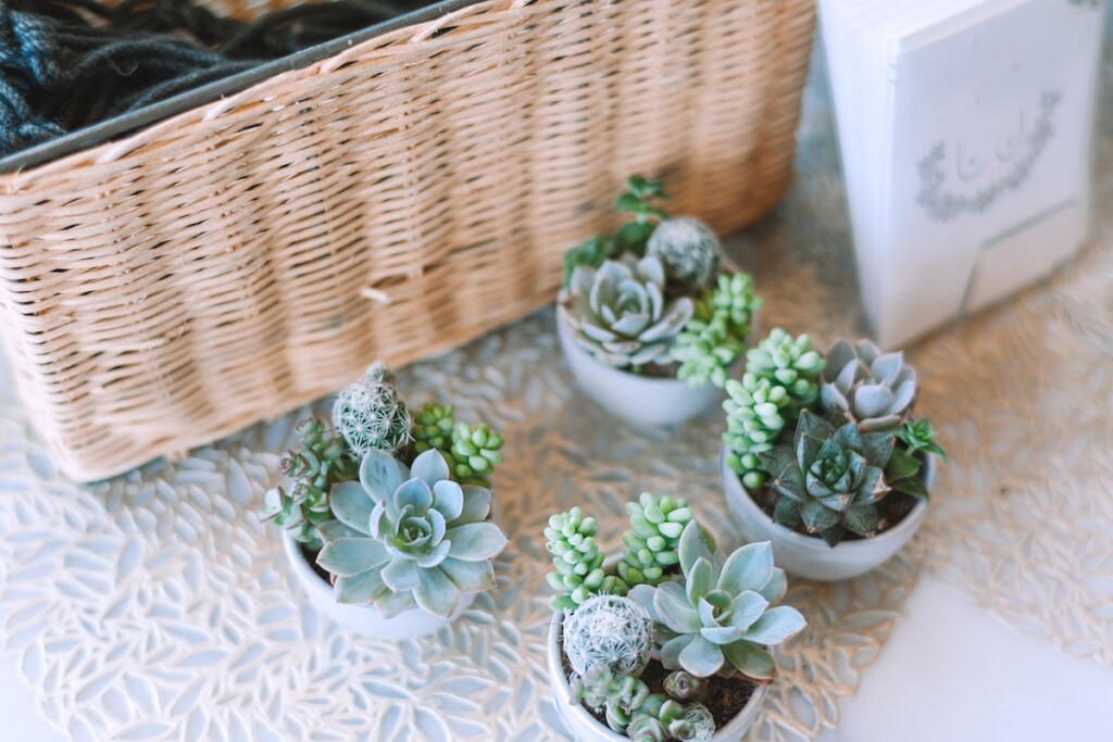 In honor of Earth Month 2025, we are looking back at some of our top Eco-friendly wedding articles, including sustainable décor and favors.